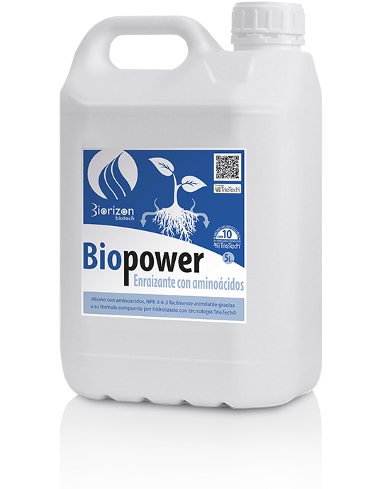 BIOPOWER